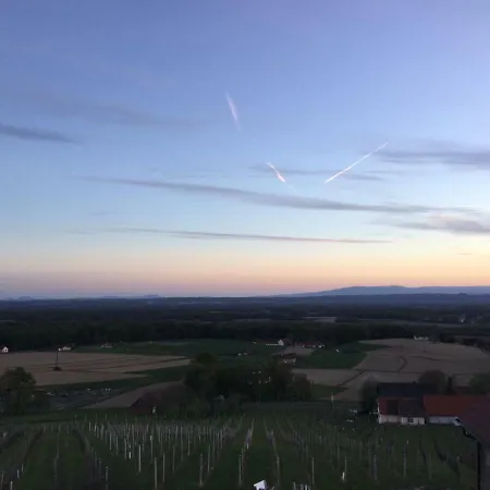 Weinberg - Kellerstoeckl Kloch