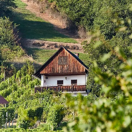 Weinberg - Kellerstoeckl *