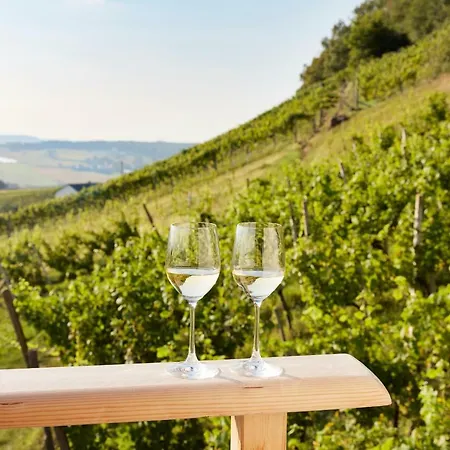Lodge Weinberg - Kellerstoeckl