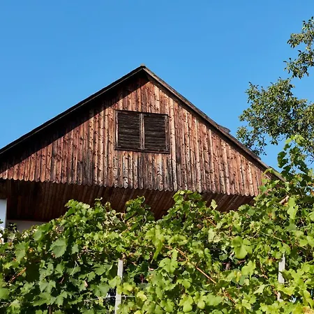 Weinberg - Kellerstoeckl Orman Evi Klöch