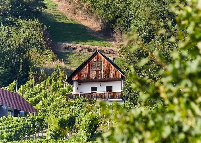 Weinberg - Kellerstoeckl *