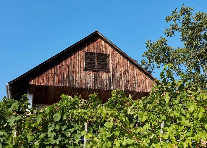Weinberg - Kellerstoeckl Lodge Klöch
